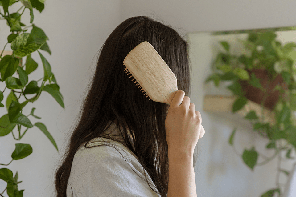 ZWS-Essentials-Bamboo-Hairbrush-Cropped_cropped_960px.png__PID:2c5c27d8-3b99-4e5d-b9d8-6a9c9db01d3a